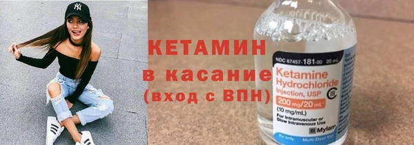 хмурый Аркадак
