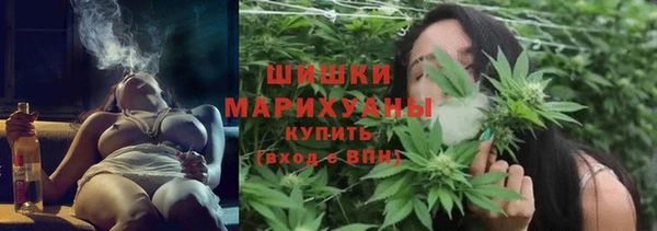 хмурый Аркадак