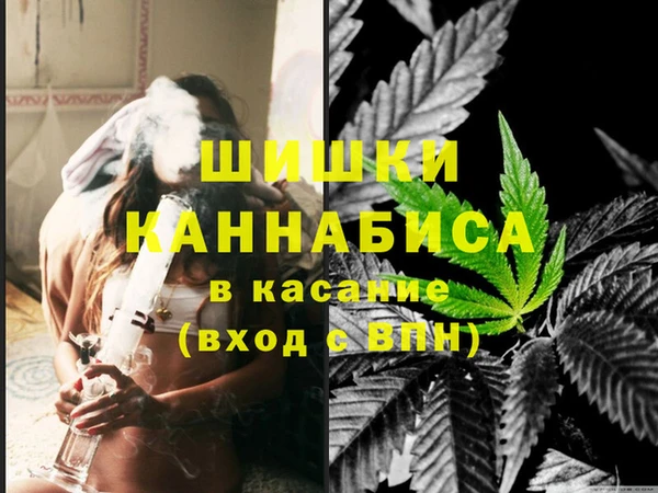 хмурый Аркадак