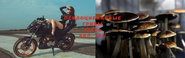 мдпв Арсеньев
