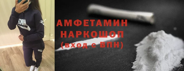 хмурый Аркадак