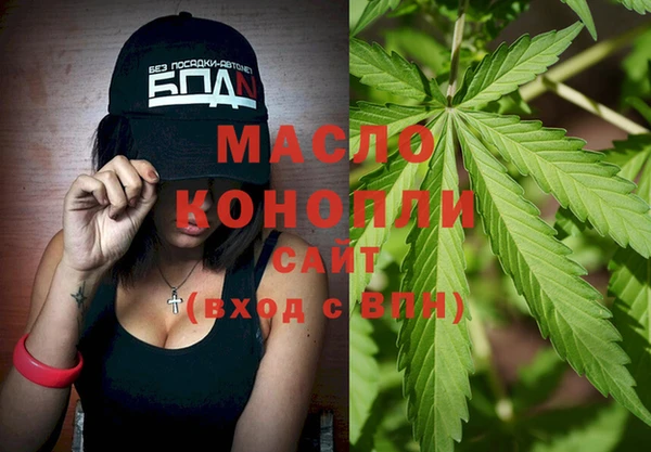 хмурый Аркадак