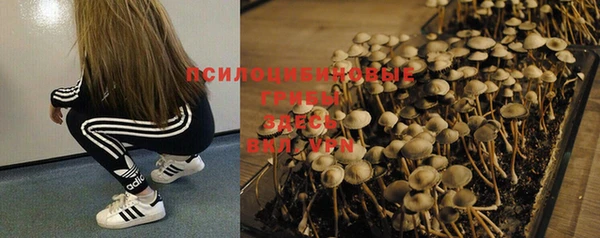 спайс Балабаново