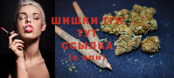 дживик Балахна