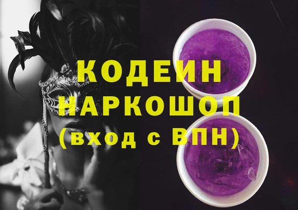 хмурый Аркадак