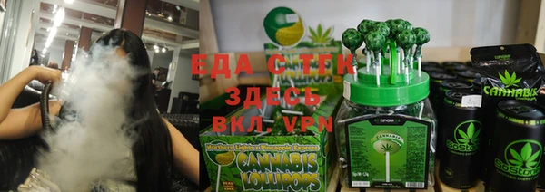 хмурый Аркадак