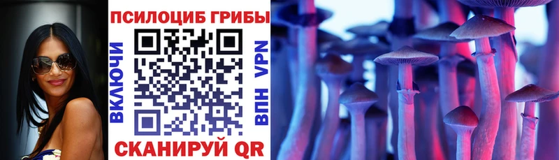 Купить где  Талдом  Псилоцибиновые грибы ЛСД 